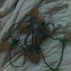 Pineapple 🍍lights